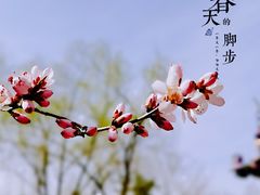 -朝阳公园