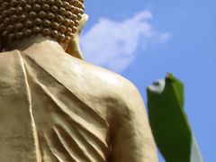 -西双版纳总佛寺