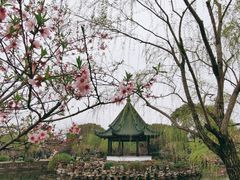 -无锡蠡湖国家湿地公园-蠡园