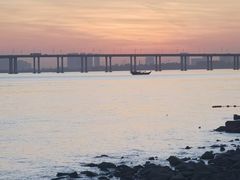-大湾区中央湿地公园