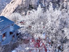 -崂山巨峰游览区
