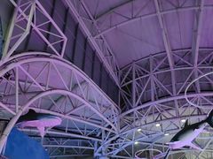 -烟台海昌鲸鲨海洋公园