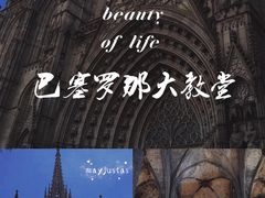 -巴塞罗那主教座堂