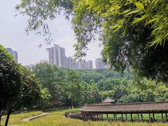 -龙头寺公园