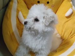 -贝康宠物医院·犬猫全科·小动物特色诊疗中心(东环路店)