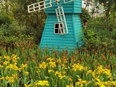 -南宫五洲植物乐园