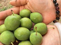 -尚渔味双拼烤鱼(燕郊永旺店)