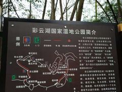 -重庆彩云湖湿地公园