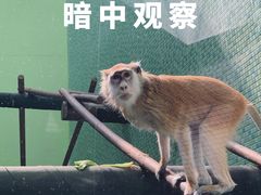 -太原动物园