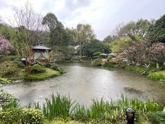 -龙井草堂