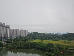 -广州汇华希尔顿逸林酒店