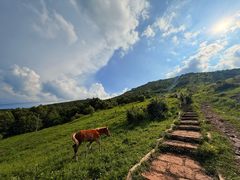 -灵山