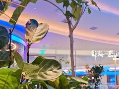 -桂满陇·杭州饭店(清河万象店)