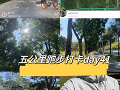 -莲花山公园