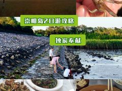 -东平国家森林公园