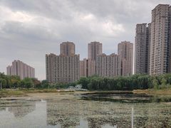 -仙女湖公园