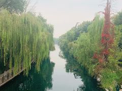-张家油条