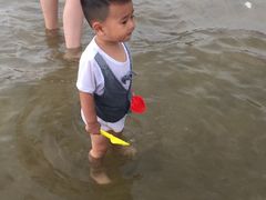 -碧海金沙