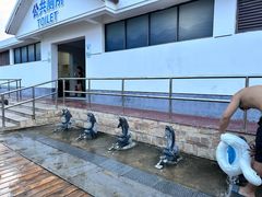 -碧海金沙