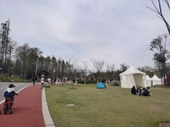 -上海长兴岛郊野公园