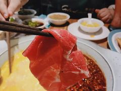 -青瓷火锅料理(西单大悦城店)