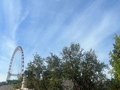 -天津大悲禅院