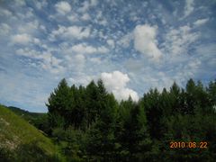 -五营红松林海景区