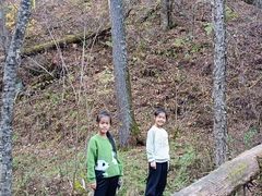 -五营红松林海景区