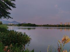 -飞来湖湿地公园