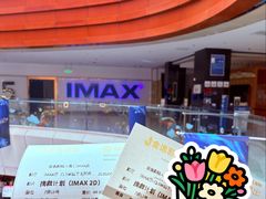 -金逸影城(武汉人信汇IMAX店)