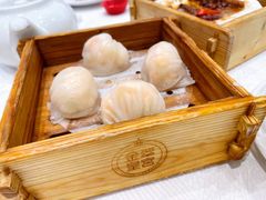 金翠虾饺皇-金翠皇宫粤菜·点心·海鲜(科技园店)