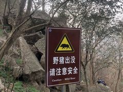 -紫金山山顶公园