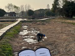 -白塔湖国家湿地公园