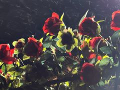 -沪小胖·小龙虾·蓝龙王(八佰伴店)