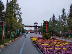 -泗洪洪泽湖湿地景区