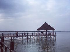 -瑶湖郊野森林公园