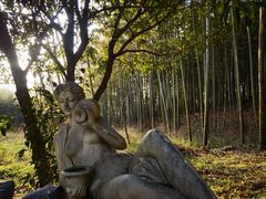 -江南天池高山汤泉城