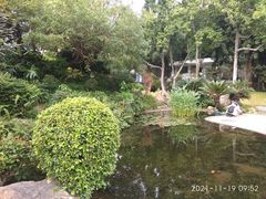 -晓港公园