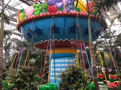 -南宫五洲植物乐园