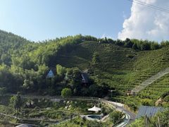 -长沙黑麋峰国家森林公园
