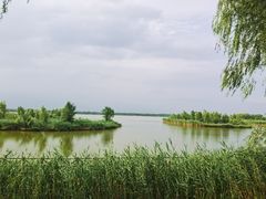 -野鸭湖国家湿地公园