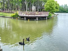 -上海野生动物园