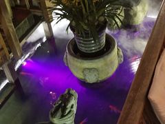 -三只耳火锅(宽窄巷子店)