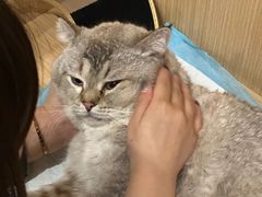 -美迦爱-牙专科·兔科·骨科诊疗中心(北苑店)