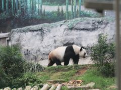 -石排湾郊野公园