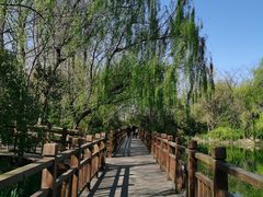 -溱湖国家湿地公园