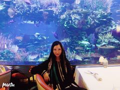 -迪拜帆船酒店海底餐厅