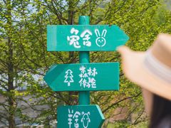 -莫干山风景区