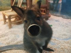 -常州海昌海洋探索馆