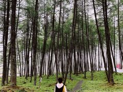 -硗碛藏寨·神木垒景区